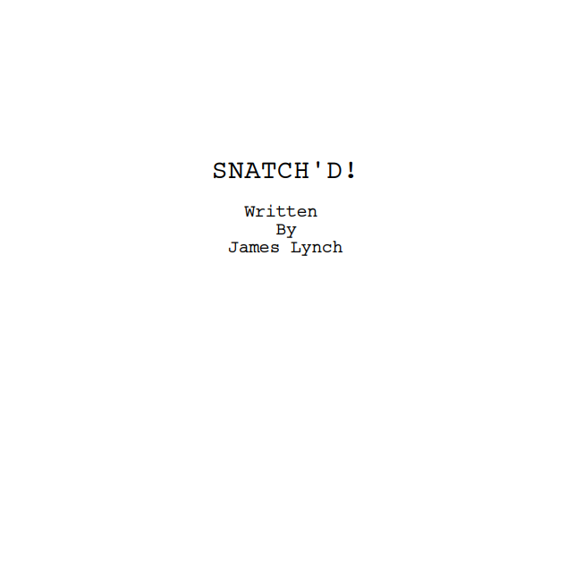 Snatch'd poster